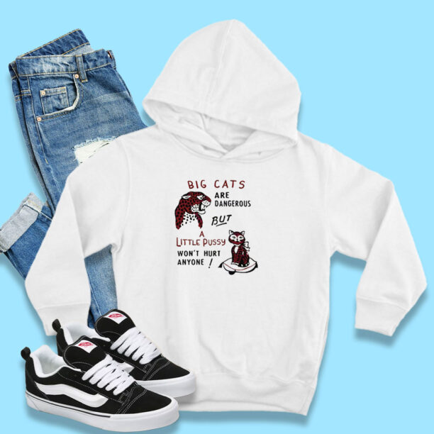 Big Cats Are Dangerous, But a Little Pussy Won't Hurt Anyone Hoodie